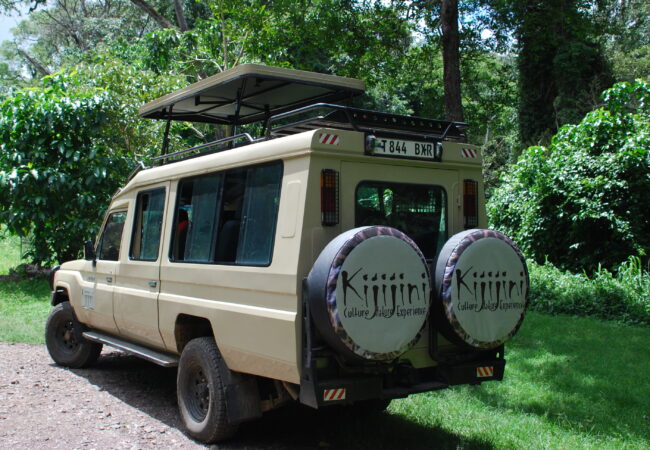 thumbnail-image